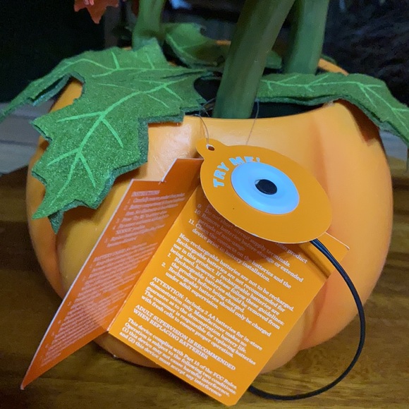 Hide and Eek Animated Halloween Pumpkin with Creepy Dancing and Singing Vines 🎃 - Picture 7 of 16